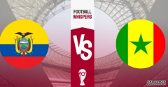 <b>2022世界杯前瞻：生死之战，厄瓜多尔、塞内加尔争夺晋级名额</b>